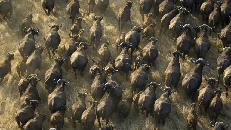 Katavi National Park