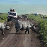 Ngorongoro Conservation Area