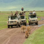 10-Day Safari & Beach