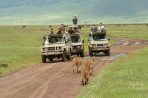 10-Day Safari & Beach
