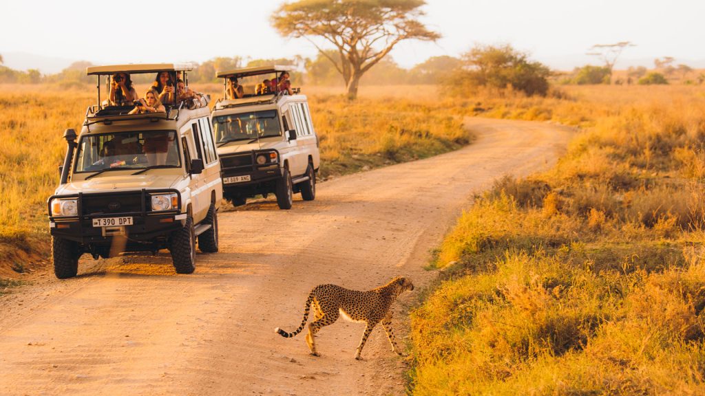 6 Days Tanzania Safari